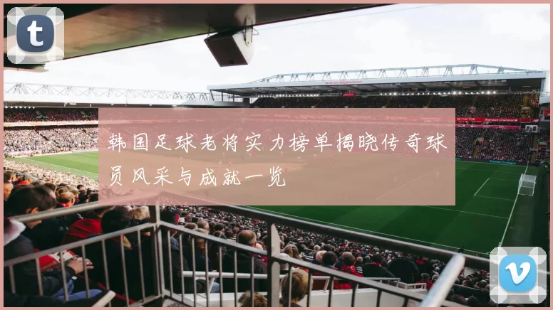 韩国足球老将实力榜单揭晓传奇球员风采与成就一览