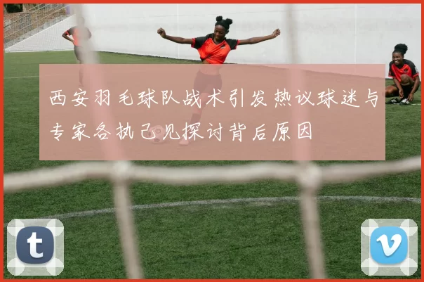 西安羽毛球队战术引发热议球迷与专家各执己见探讨背后原因