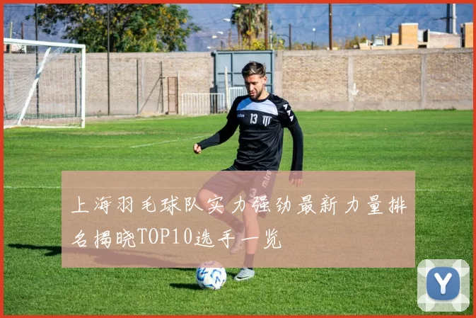 上海羽毛球队实力强劲最新力量排名揭晓TOP10选手一览
