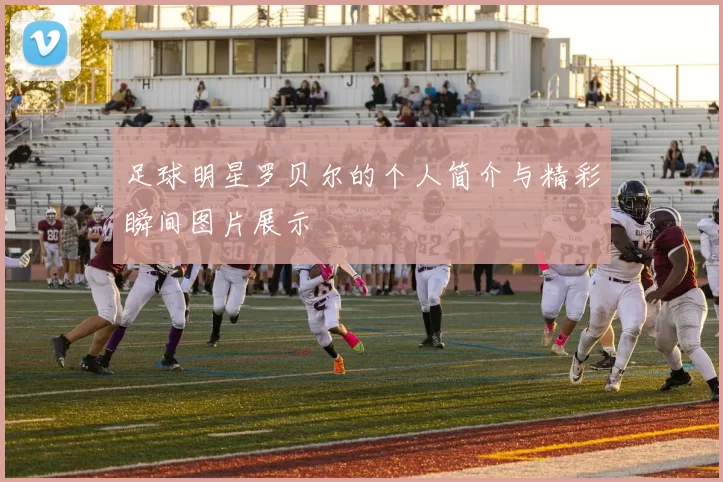 足球明星罗贝尔的个人简介与精彩瞬间图片展示