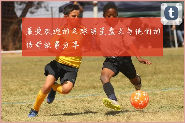 最受欢迎的足球明星盘点与他们的传奇故事分享