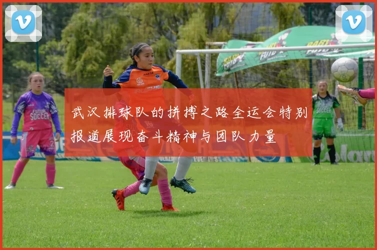 武汉排球队的拼搏之路全运会特别报道展现奋斗精神与团队力量