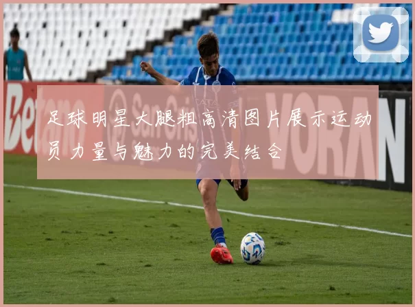 足球明星大腿粗高清图片展示运动员力量与魅力的完美结合